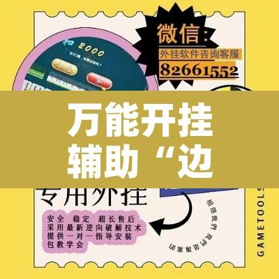 万能开挂辅助“边锋掼蛋辅助器”开挂辅助脚本+详细开挂安装教程