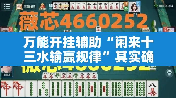 万能开挂辅助“闲来十三水输赢规律	”其实确实有挂