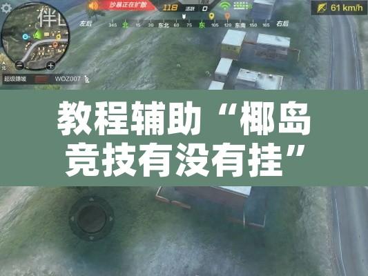 教程辅助“椰岛竞技有没有挂”附辅助神器开挂脚本详细步骤