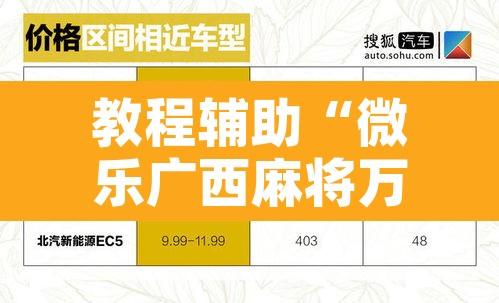 教程辅助“微乐广西麻将万能开挂器通用版”开挂辅助脚本+详细开挂安装教程