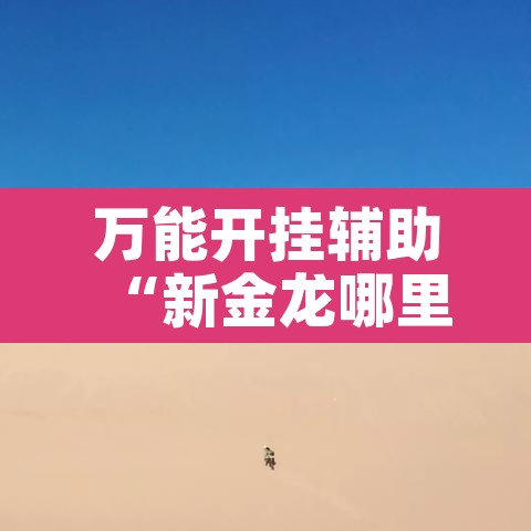 万能开挂辅助“新金龙哪里有透视挂”开挂辅助脚本+详细开挂安装教程