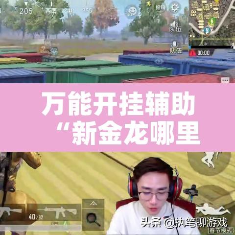 万能开挂辅助“新金龙哪里有透视挂”开挂辅助脚本+详细开挂安装教程