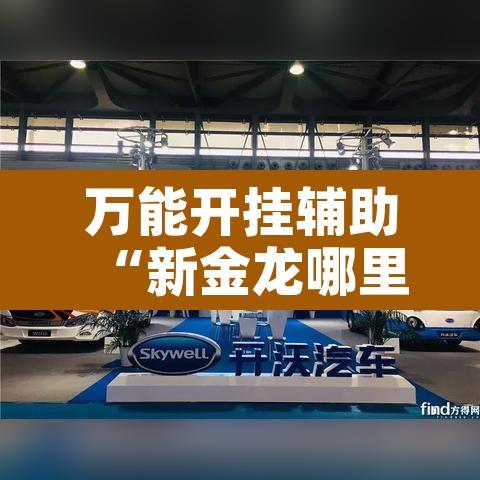 万能开挂辅助“新金龙哪里有透视挂	”开挂辅助脚本+详细开挂安装教程