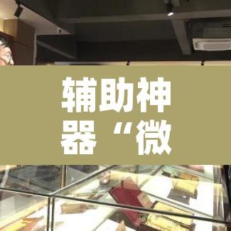 辅助神器“微乐甘肃麻将万能开挂器通用版”附辅助神器开挂脚本详细步骤