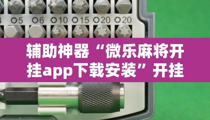 辅助神器“微乐麻将开挂app下载安装	”开挂辅助脚本+详细开挂安装教程