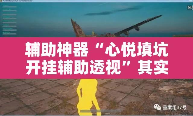 辅助神器“心悦填坑开挂辅助透视”其实确实有挂