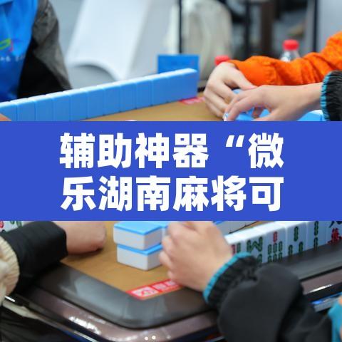 辅助神器“微乐湖南麻将可以开挂吗	”开挂辅助脚本+详细开挂安装教程