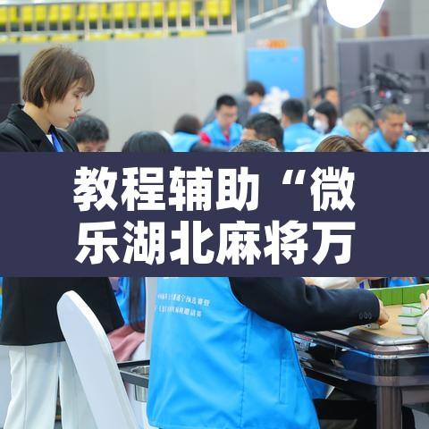 教程辅助“微乐湖北麻将万能开挂器通用版”开挂辅助脚本+详细开挂安装教程