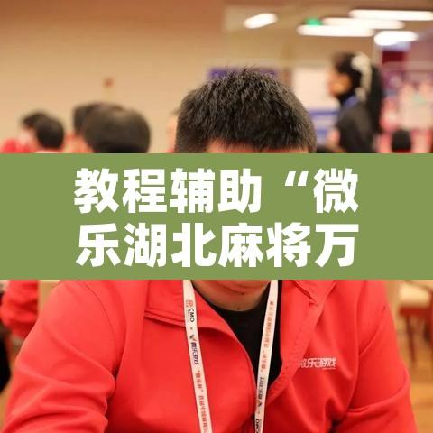教程辅助“微乐湖北麻将万能开挂器通用版	”开挂辅助脚本+详细开挂安装教程