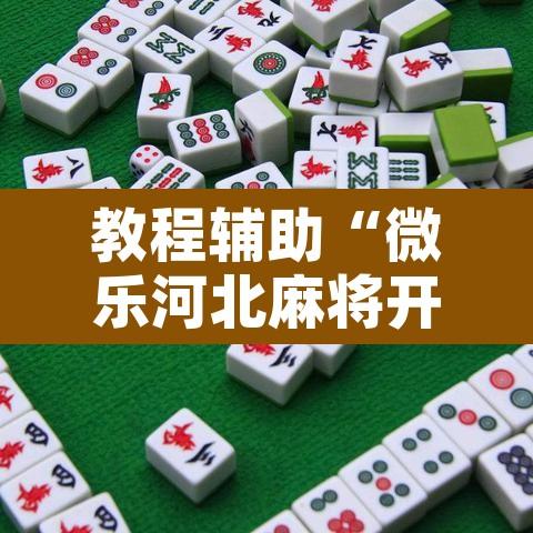 教程辅助“微乐河北麻将开挂免费下载”开挂辅助脚本+详细开挂安装教程