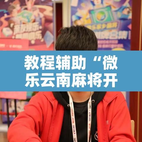 教程辅助“微乐云南麻将开挂神器下载	”其实确实有挂