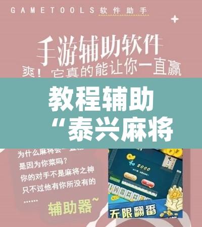 教程辅助“泰兴麻将能不能开挂	”开挂辅助脚本+详细开挂安装教程