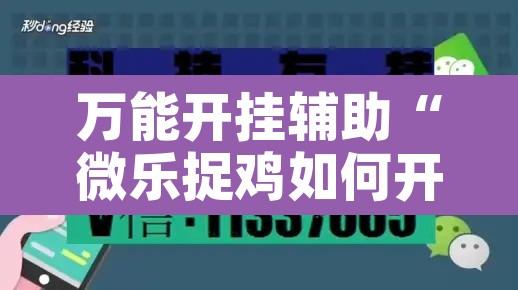 万能开挂辅助“微乐捉鸡如何开挂”开挂辅助脚本+详细开挂安装教程