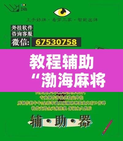教程辅助“渤海麻将能不能开挂”开挂辅助脚本+详细开挂安装教程