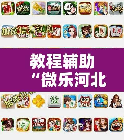 教程辅助“微乐河北麻将有挂吗”开挂辅助脚本+详细开挂安装教程