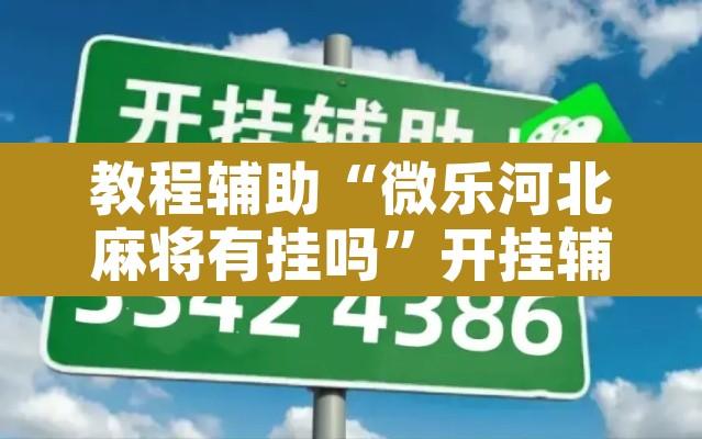 教程辅助“微乐河北麻将有挂吗”开挂辅助脚本+详细开挂安装教程