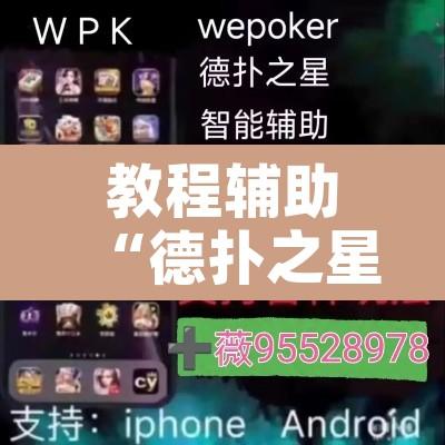 教程辅助“德扑之星透视看牌仪器	”附辅助神器开挂脚本详细步骤