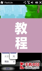 教程辅助“方片十三张辅助器下载”其实确实有挂