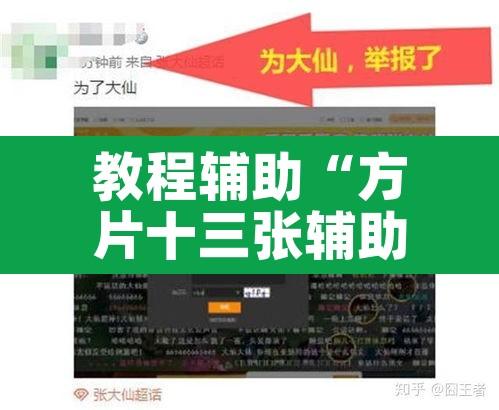 教程辅助“方片十三张辅助器下载”其实确实有挂