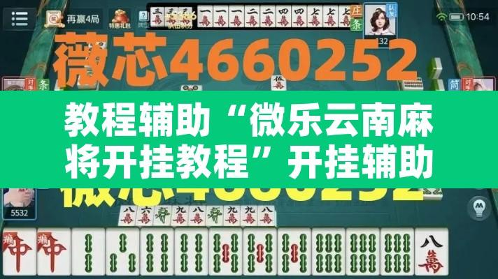 教程辅助“微乐云南麻将开挂教程	”开挂辅助脚本+详细开挂安装教程