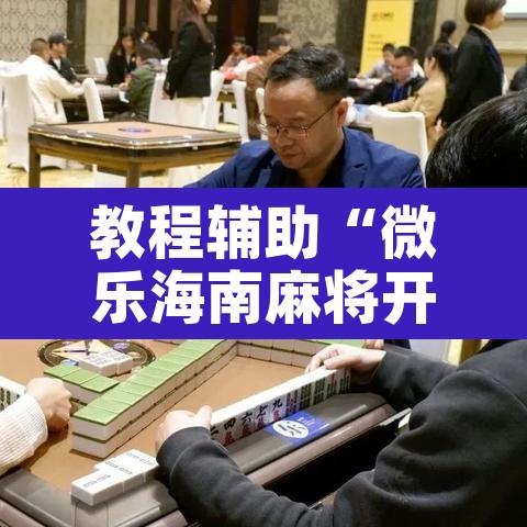 教程辅助“微乐海南麻将开挂神器	”其实确实有挂