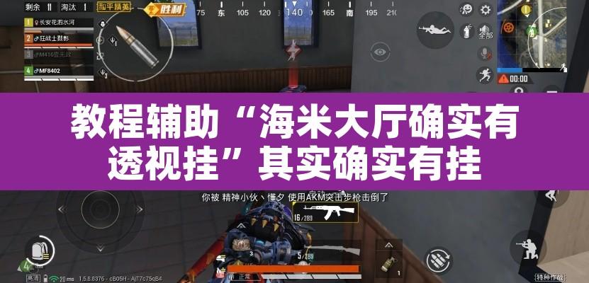 教程辅助“海米大厅确实有透视挂”其实确实有挂