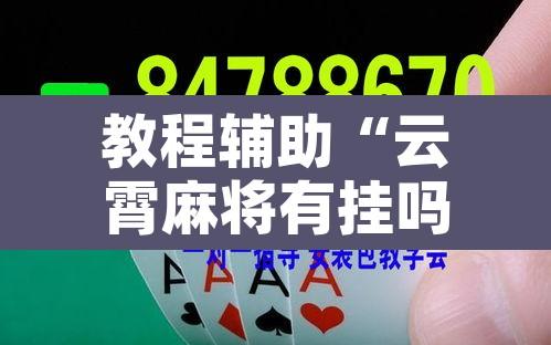 教程辅助“云霄麻将有挂吗”开挂辅助脚本+详细开挂安装教程