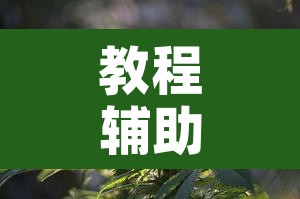 教程辅助“手机麻将开挂神器软件下载	”开挂辅助脚本+详细开挂安装教程