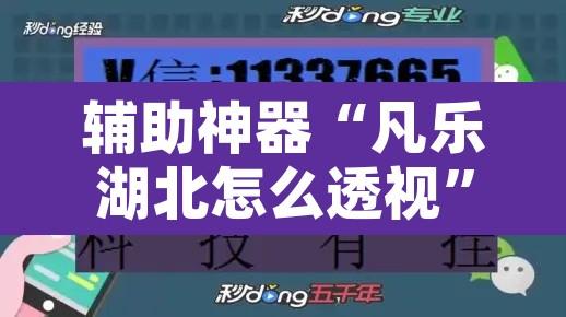辅助神器“凡乐湖北怎么透视	”开挂辅助脚本+详细开挂安装教程