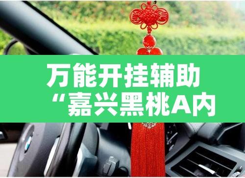 万能开挂辅助“嘉兴黑桃A内挂	”其实确实有挂