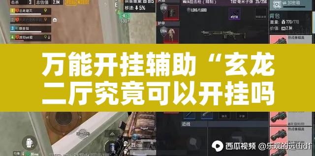 万能开挂辅助“玄龙二厅究竟可以开挂吗”其实确实有挂