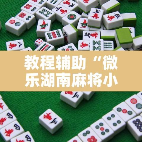 辅助神器“微乐亲友房怎么开挂	”开挂辅助脚本+详细开挂安装教程