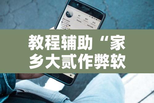 教程辅助“家乡大贰作弊软件”开挂辅助脚本+详细开挂安装教程