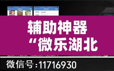 辅助神器“微乐湖北麻将开挂视频”附辅助神器开挂脚本详细步骤