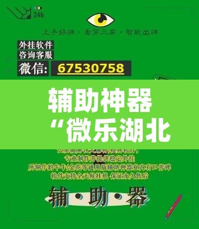 辅助神器“微乐湖北麻将开挂视频	”附辅助神器开挂脚本详细步骤
