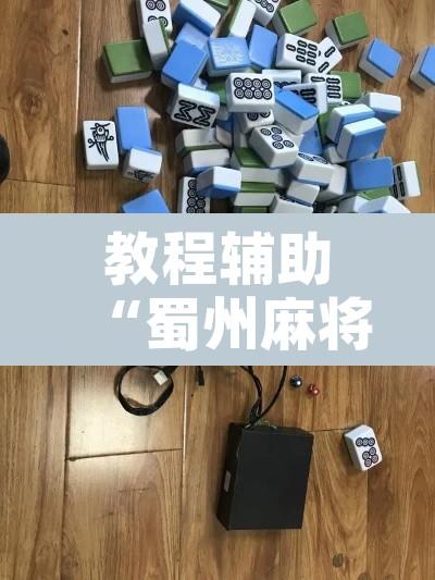 教程辅助“蜀州麻将石城确实真的有挂”附辅助神器开挂脚本详细步骤
