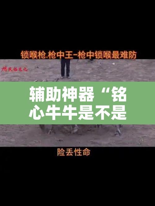 辅助神器“铭心牛牛是不是有挂吗	”其实确实有挂