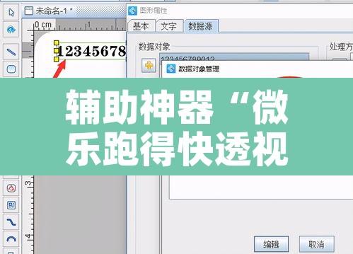 辅助神器“微乐跑得快透视软件”其实确实有挂