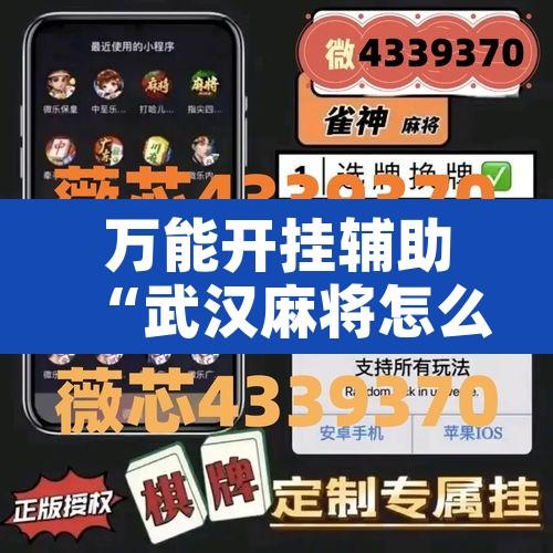 万能开挂辅助“武汉麻将怎么用挂”开挂辅助脚本+详细开挂安装教程
