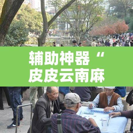 辅助神器“皮皮云南麻将小程序必赢神器”其实确实有挂