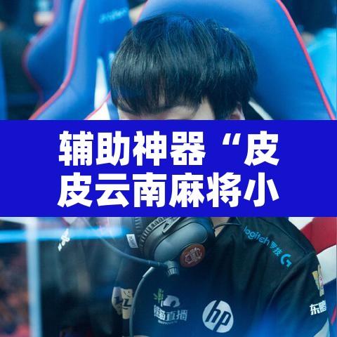 辅助神器“皮皮云南麻将小程序必赢神器”其实确实有挂