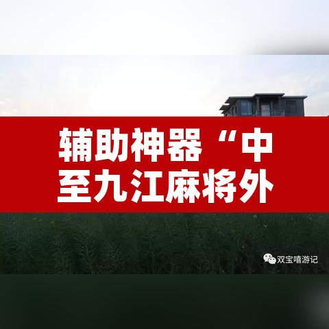 辅助神器“中至九江麻将外卦神器下载安装”附辅助神器开挂脚本详细步骤