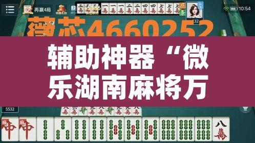 辅助神器“微乐湖南麻将万能开挂器通用版	”其实确实有挂