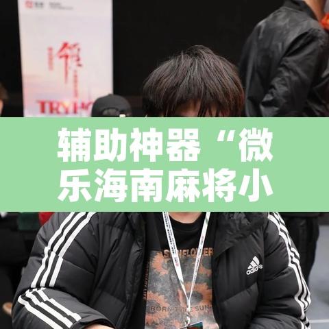 辅助神器“微乐海南麻将小程序必赢神器”其实确实有挂