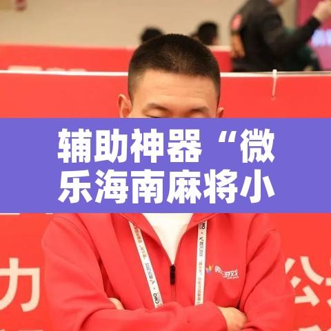 辅助神器“微乐海南麻将小程序必赢神器”其实确实有挂