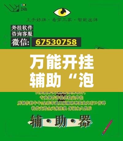 万能开挂辅助“泡泡娱乐可以开挂吗”开挂辅助脚本+详细开挂安装教程