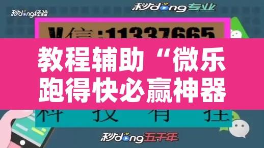 教程辅助“微乐跑得快必赢神器”附辅助神器开挂脚本详细步骤