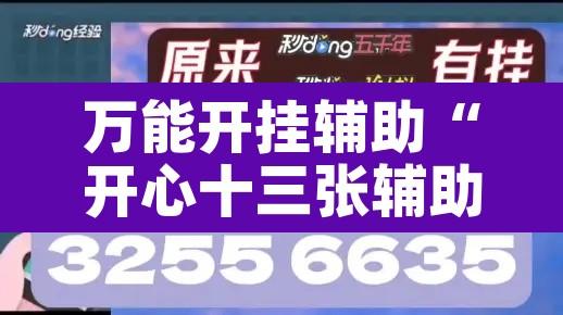 万能开挂辅助“开心十三张辅助挂	”其实确实有挂
