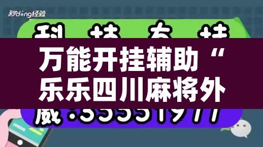 万能开挂辅助“乐乐四川麻将外卦神器下载	”开挂辅助脚本+详细开挂安装教程