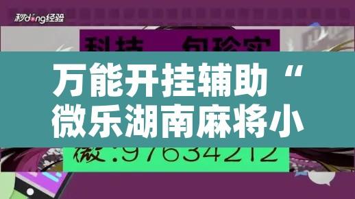 万能开挂辅助“微乐湖南麻将小程序必赢神器免费	”开挂辅助脚本+详细开挂安装教程